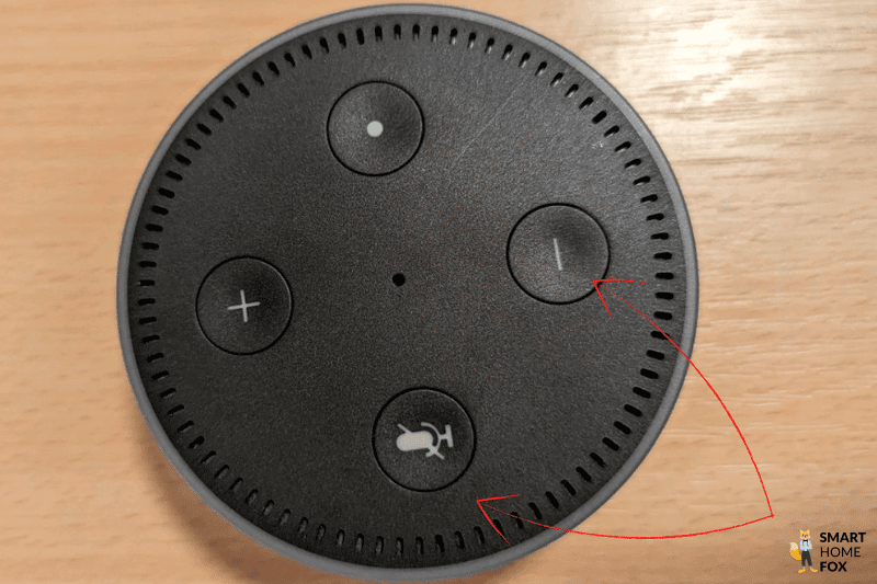 Zwei Pfeile zeigen auf die Tasten, welche beim Echo Dot gedrückt werden müssen, damit das Gerät auf Werkseinstellungen zurückgesetzt wird